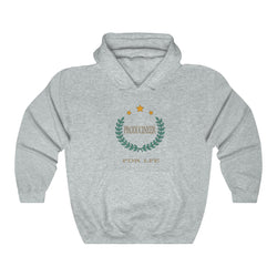 PRODUCINEER ROYALTY Unisex Heavy Blend™ Hooded Sweatshirt - PDR LFE Ash / S PDR LFE